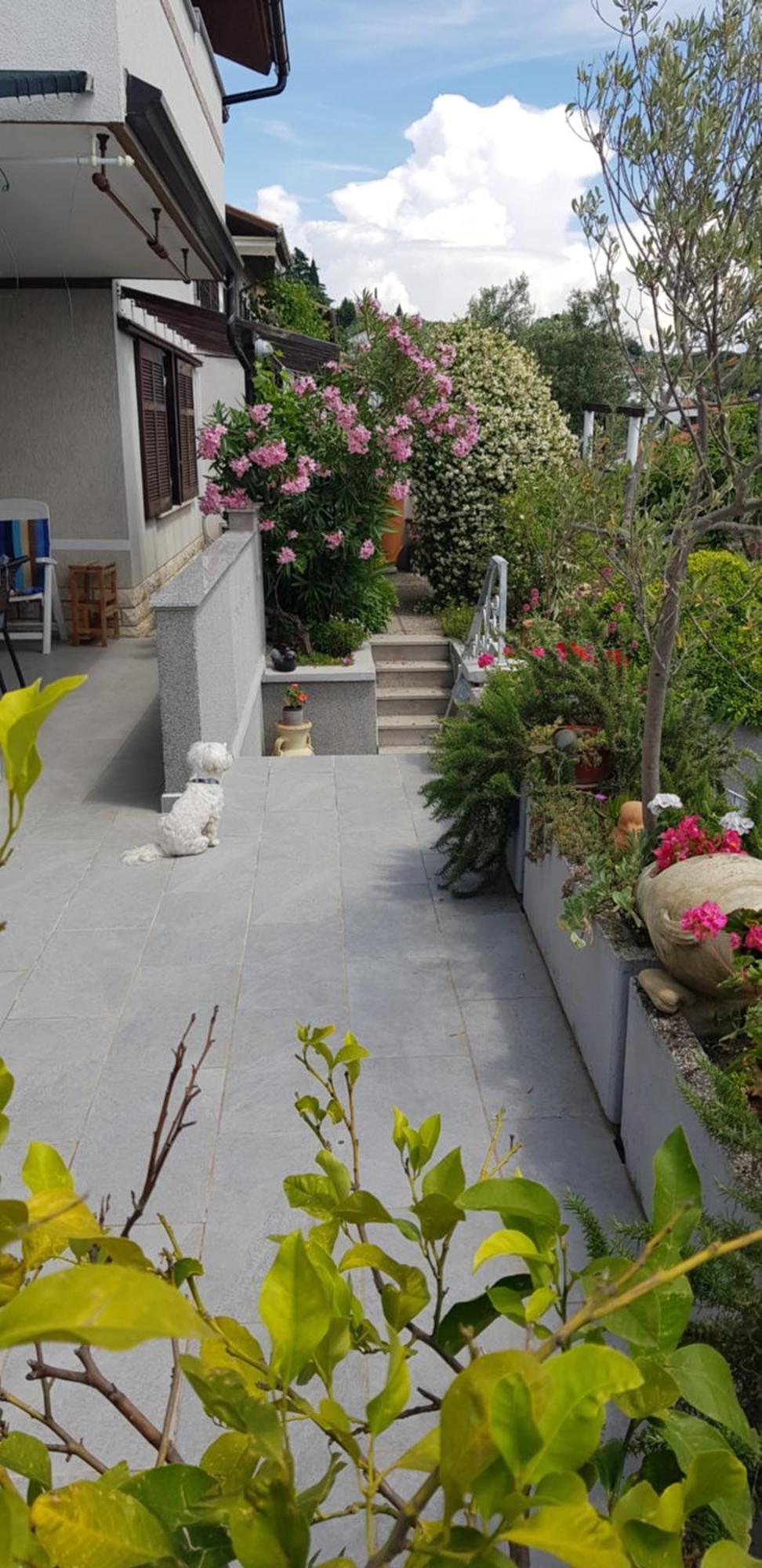Apartamento Tramontana Lucija Exterior foto