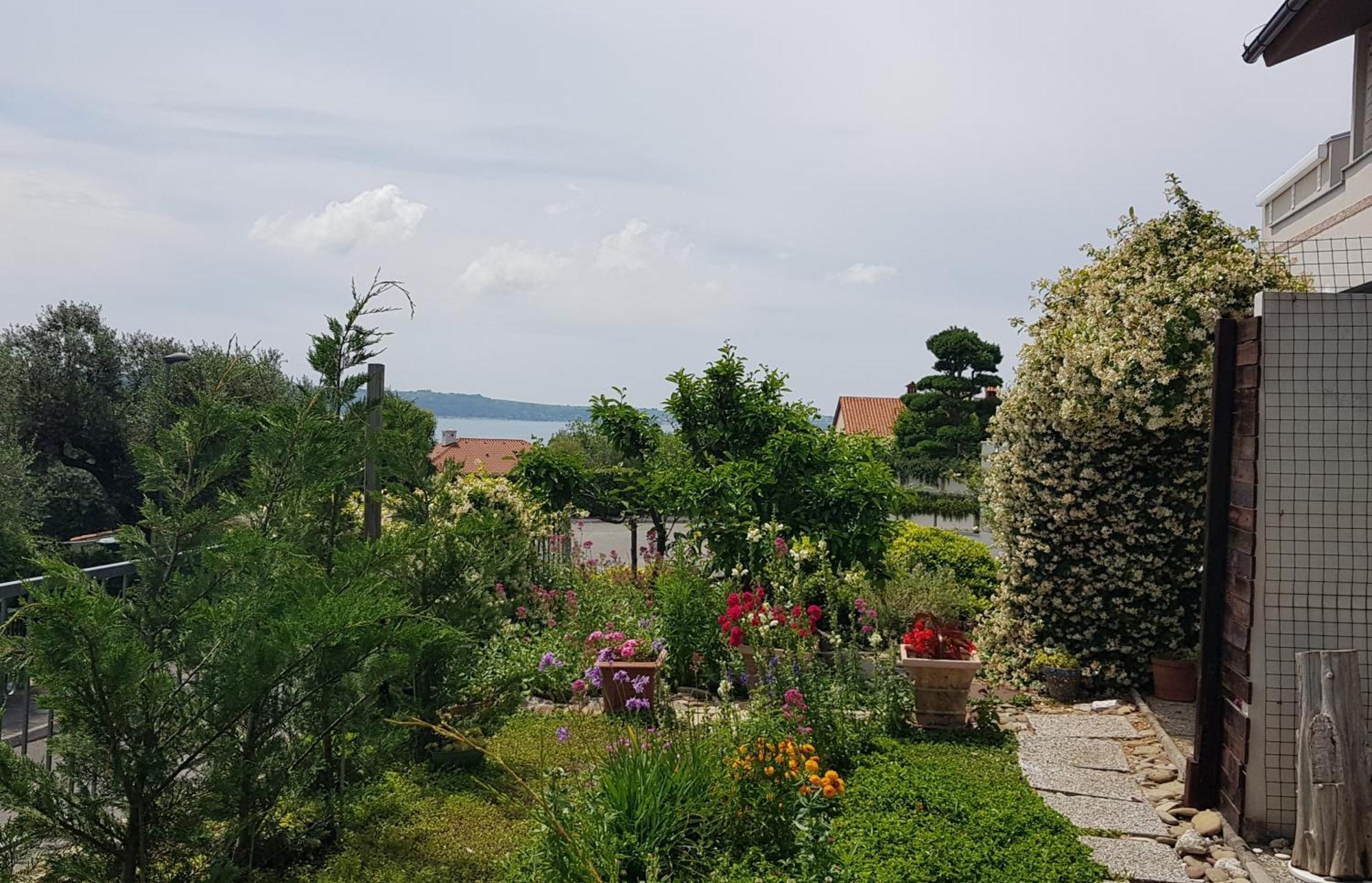 Apartamento Tramontana Lucija Exterior foto